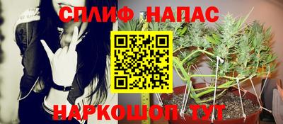 мдпв Пугачёв