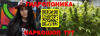 мдпв Пугачёв