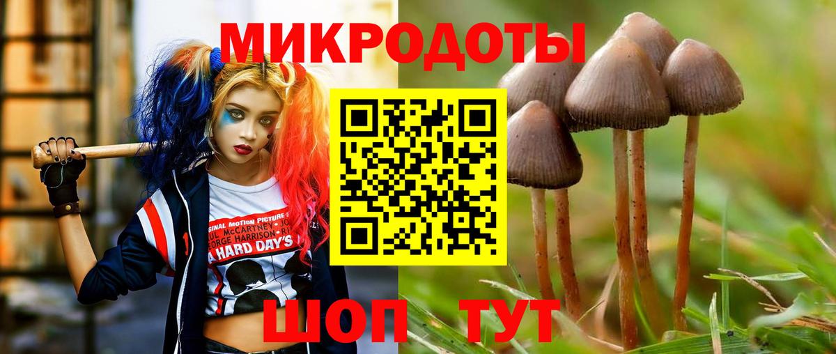Осинники  Псилоцибиновые грибы мухоморы  Псилоцибиновые грибы Magic Shrooms  что такое   Вход с VPN 