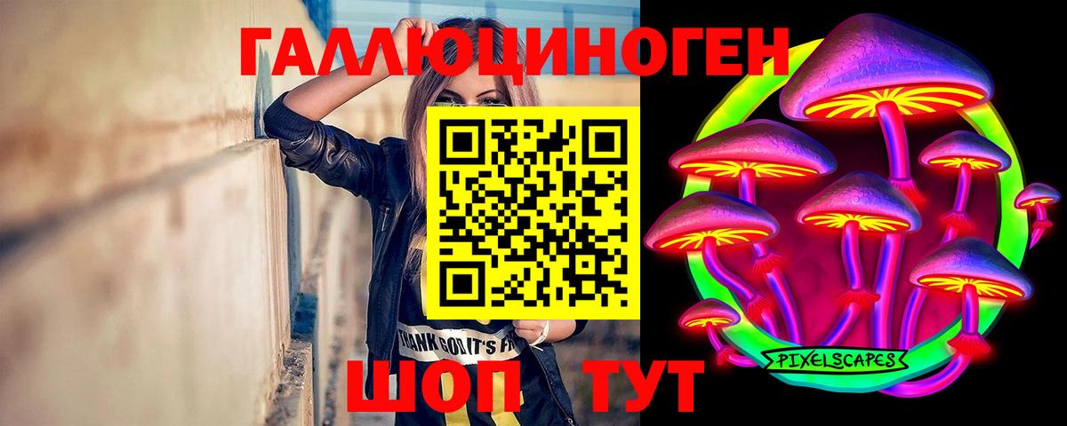 Галлюциногенные грибы Cubensis Осинники
