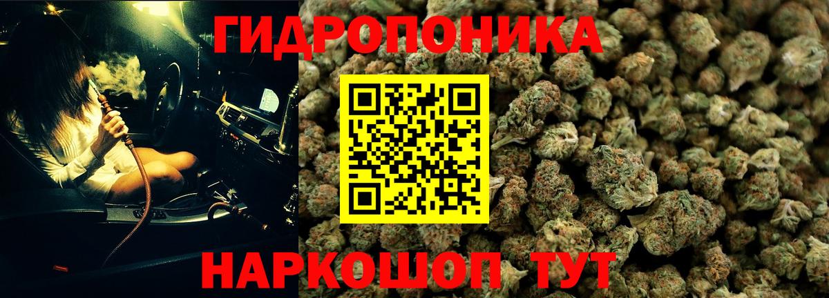 Марихуана планчик Осинники